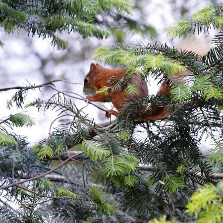 Lochay Lodges Килин Екстериор снимка